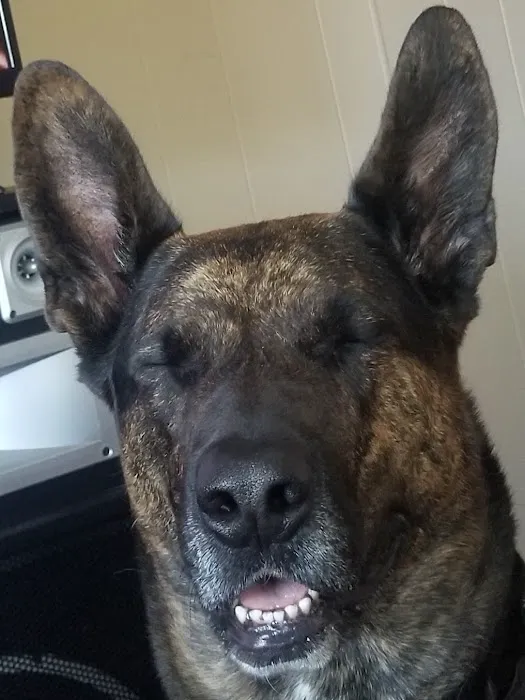 Old Forge Animal Hospital 9