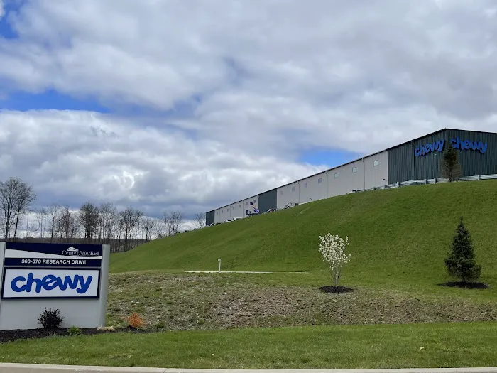 Chewy - AVP4 12