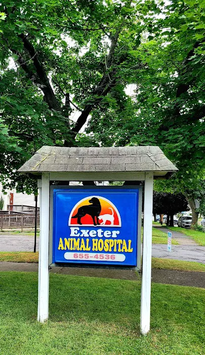Exeter Animal Hospital 12