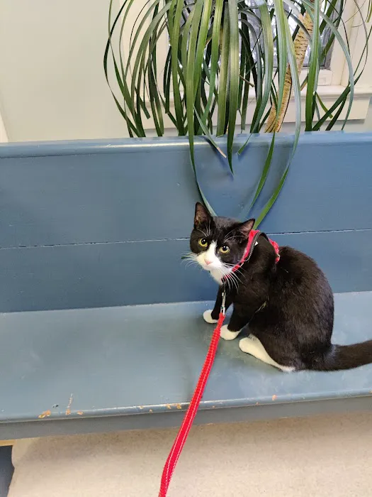 Exeter Animal Hospital 12