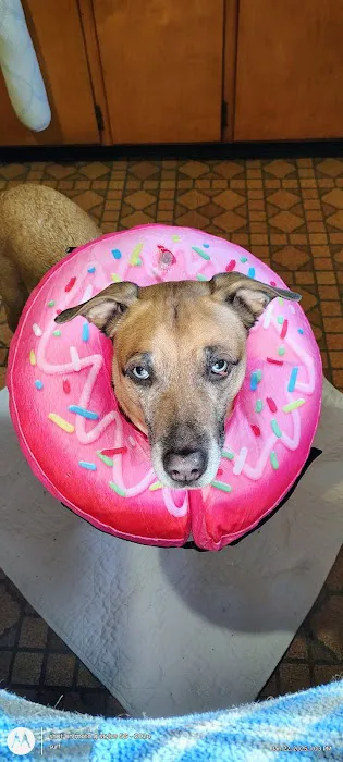 Shoemaker Avenue Animal Hospital 12