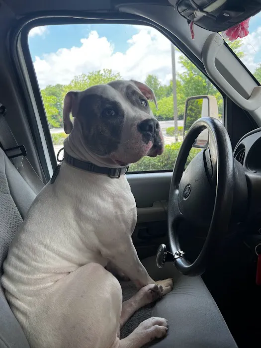 Greensboro Mobile Veterinary Housecalls 7