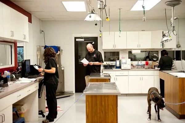 Guilford College Animal Hospital 12