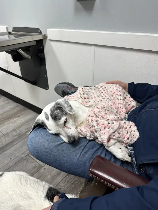 Guilford College Animal Hospital 12