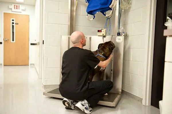 Guilford College Animal Hospital 12