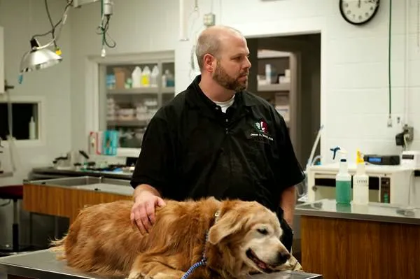 Guilford College Animal Hospital 12