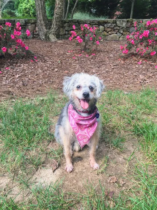 Guilford College Animal Hospital 12