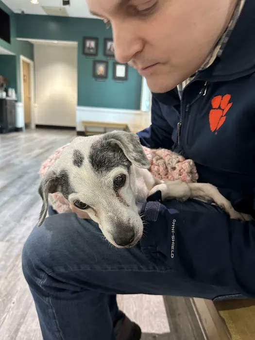 Guilford College Animal Hospital 12