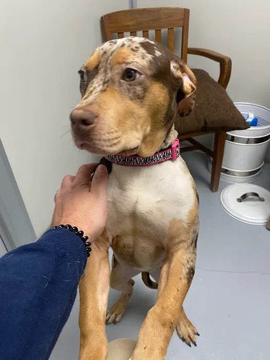 Friendly Animal Clinic 12