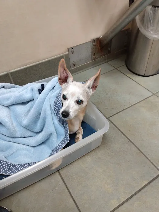Friendly Animal Clinic 12