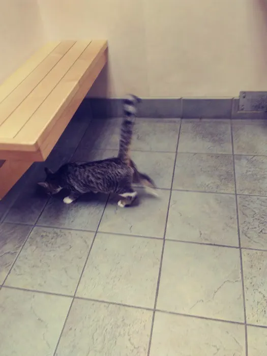 Friendly Animal Clinic 12