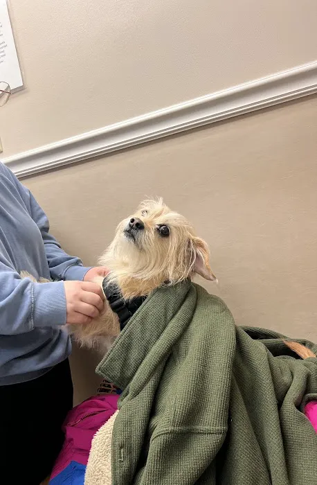 Friendly Animal Clinic 12