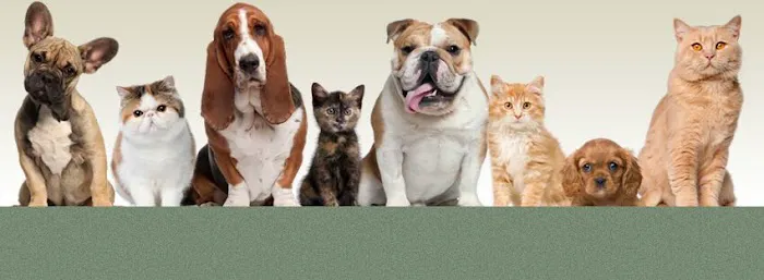 Friendly Animal Clinic 12