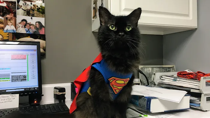 Veterinary Hospital of Oak Ridge 8