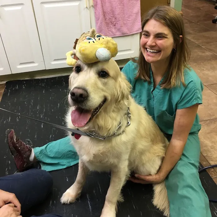 Veterinary Hospital of Oak Ridge 1