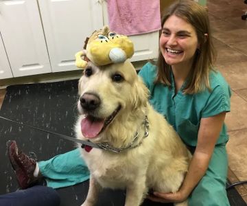Veterinary Hospital of Oak Ridge