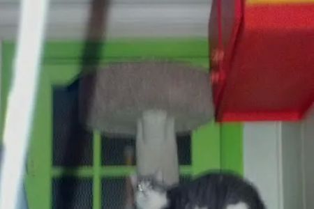 Spoil-Me-Rotten Animal Care