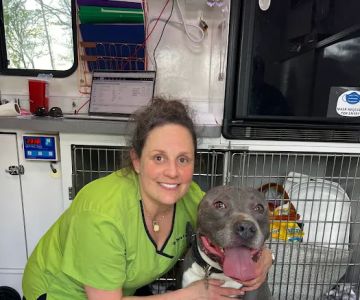Sara Fletcher, DVM