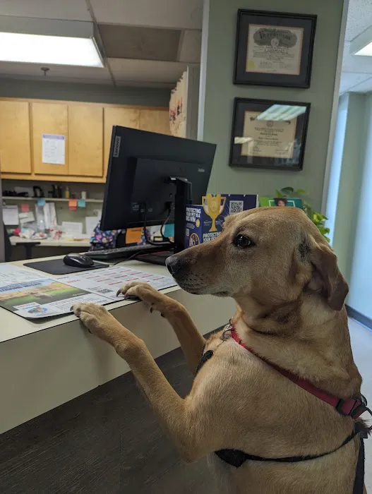 Animal Clinic of Friendly Center 12