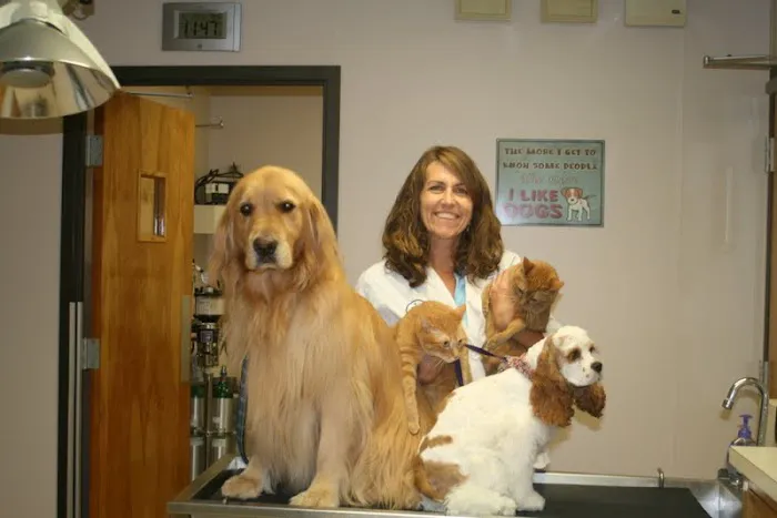 Animal Clinic of Friendly Center 12