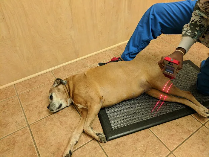 University Animal Hospital of Greensboro PLLC 3