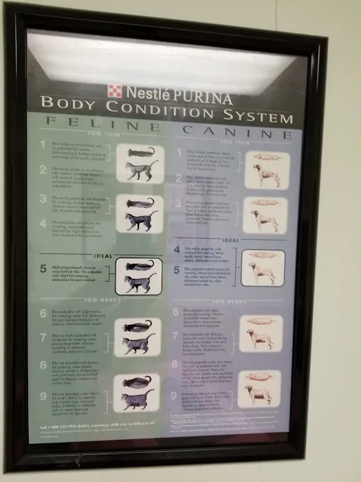 University Animal Hospital of Greensboro PLLC 6