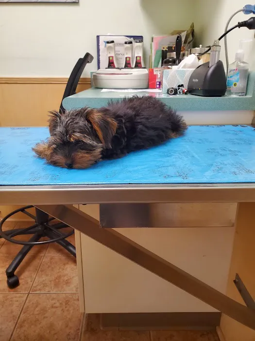 University Animal Hospital of Greensboro PLLC 2