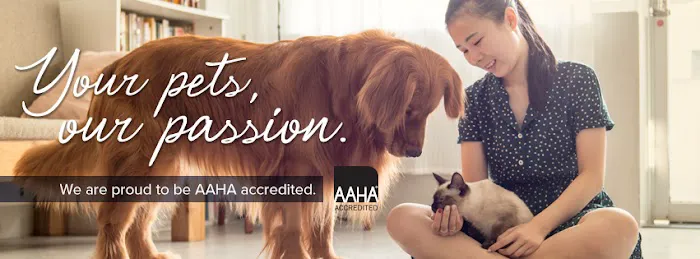 Creekside Animal Clinic, PA 2