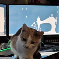 Spay & Neuter Clinic ico
