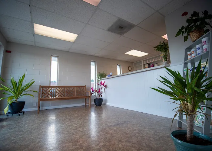 Plaza Veterinary Hospital 1