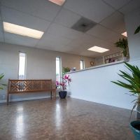 Plaza Veterinary Hospital ico