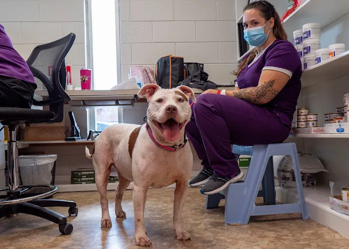 Plaza Veterinary Hospital 4