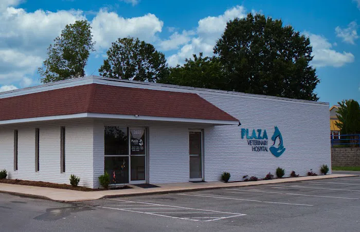 Plaza Veterinary Hospital 9