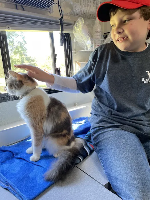 Alamance Countryside Mobile Vet Services 6