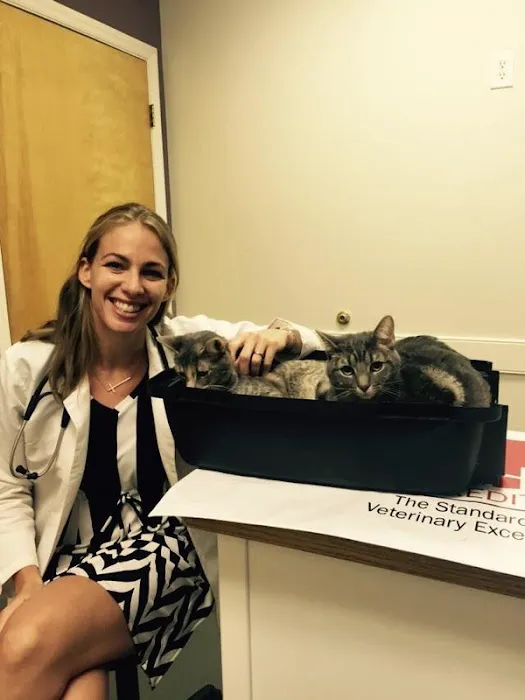 Town N Country Animal Hospital 8
