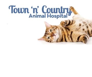 Town N Country Animal Hospital