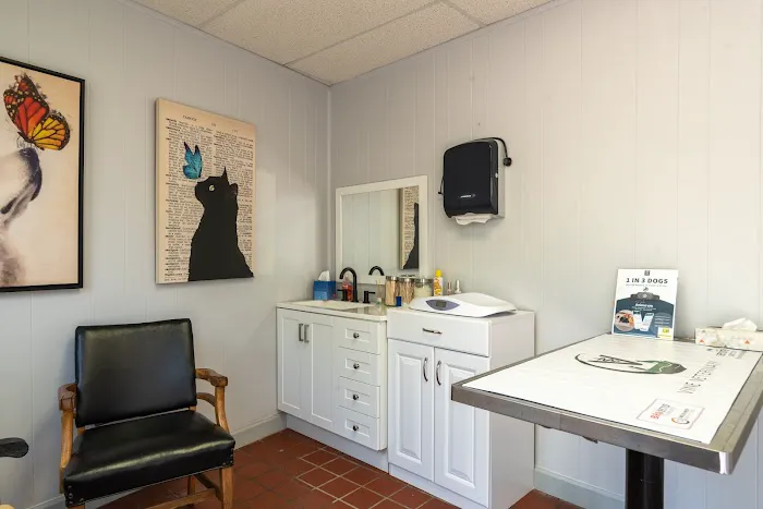 Vine Veterinary Hospital 3