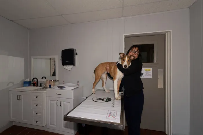 Vine Veterinary Hospital 7