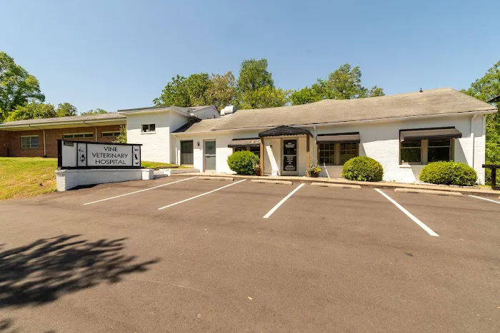 Vine Veterinary Hospital 2