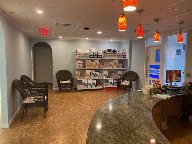 The Cat Hospital of Durham and Chapel Hill 2