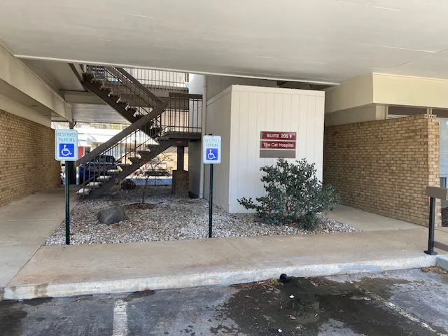 The Cat Hospital of Durham and Chapel Hill 8