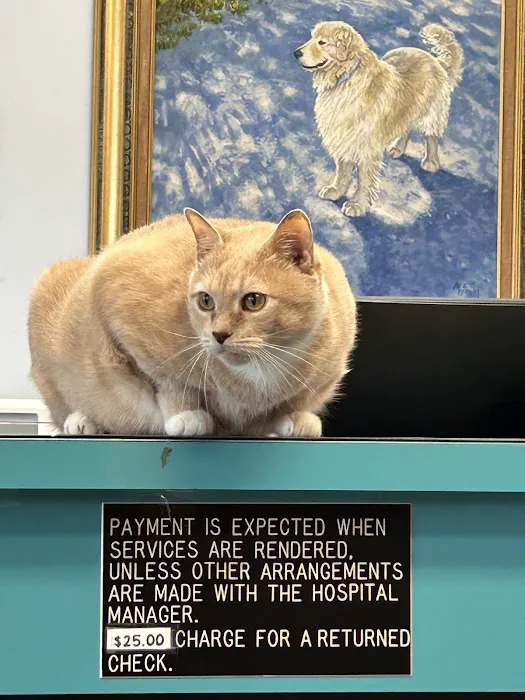 Four Paws Animal Clinic 3