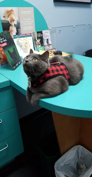 Four Paws Animal Clinic 4