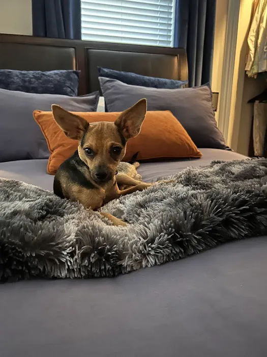 Four Paws Animal Clinic 2