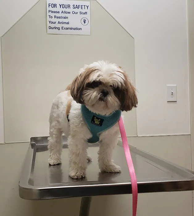 VCA Legion Road Animal Hospital 7