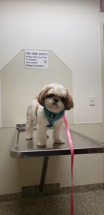 VCA Legion Road Animal Hospital 2