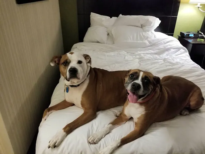 Banfield Pet Hospital 3
