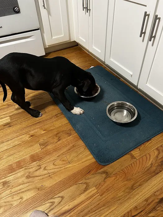 Banfield Pet Hospital 7