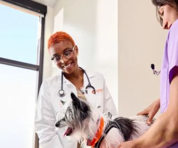 Banfield Pet Hospital