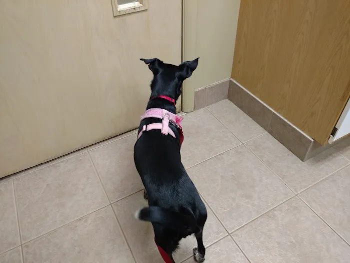 Westbrook Animal Hospital 6